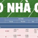 Trang Chủ Cá Cược Bóng Đá Uy Tín Nhất 2025
