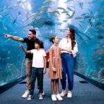 Dubai Aquarium & Underwater Zoo: Ticket Prices, Timings & More
