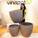 chậu trồng cây composite - xu hướng của thời đại