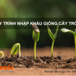 Quy trình nhập khẩu giống cây trồng