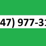 ☎️+1(747) 977-3171- Breaking the Limit: How Much Money Can You Really Send on Cash App?