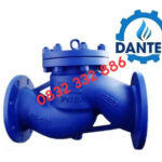 Dantek Giới Thiệu Van 1 Chiều Chữ Ngã Arita Cho Hệ Thống PCCC Tại Vĩnh Phúc