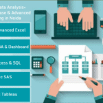 Best 100% Job, Data Analyst for Landing a High-Paying Job in 2025, 100% Job, MIS Course in Delhi, 110051 - by SLA Consultants India, Free Power BI Certification,