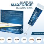 Gel Diệt Kiến Maxforce Quantum – Giải Pháp Diệt Kiến Hiệu Quả, An Toàn Tuyệt Đối