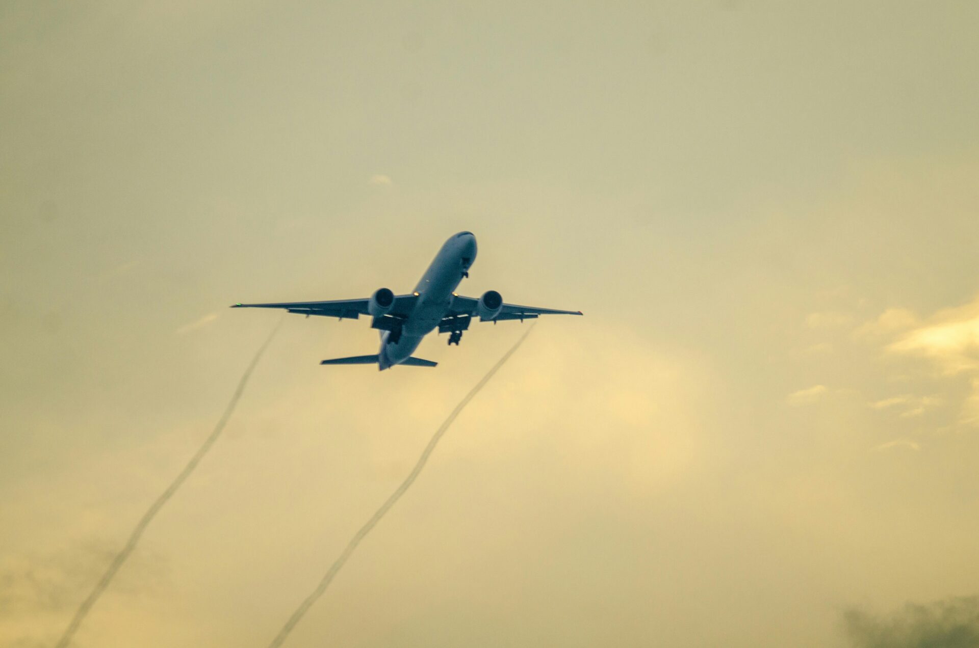 pexels oleksiy konstantinidi