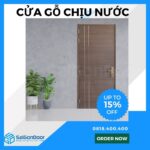 mau cua go chong nuoc dep