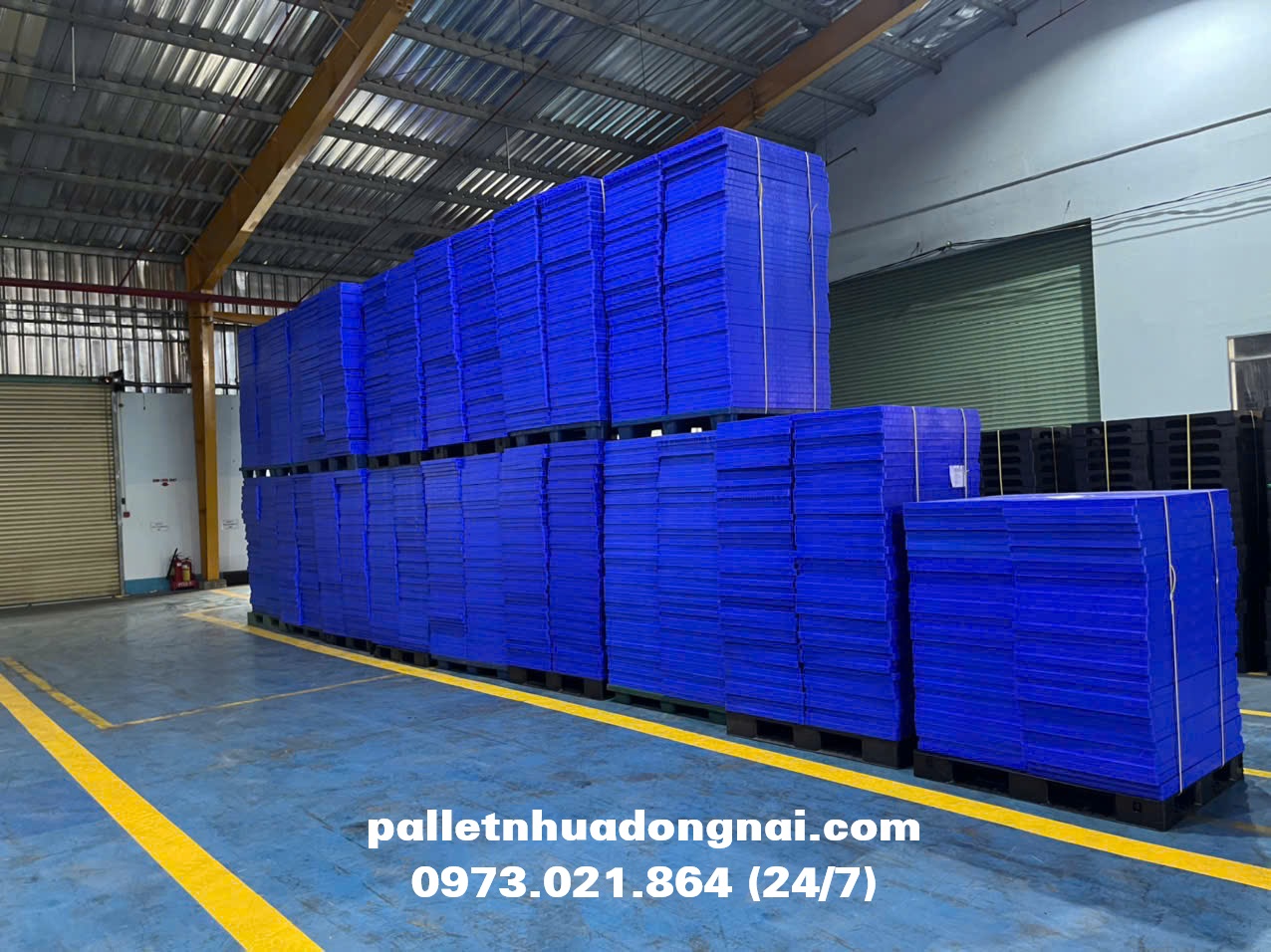 pallet nhua ()