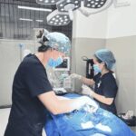 Pet Vaccination Services