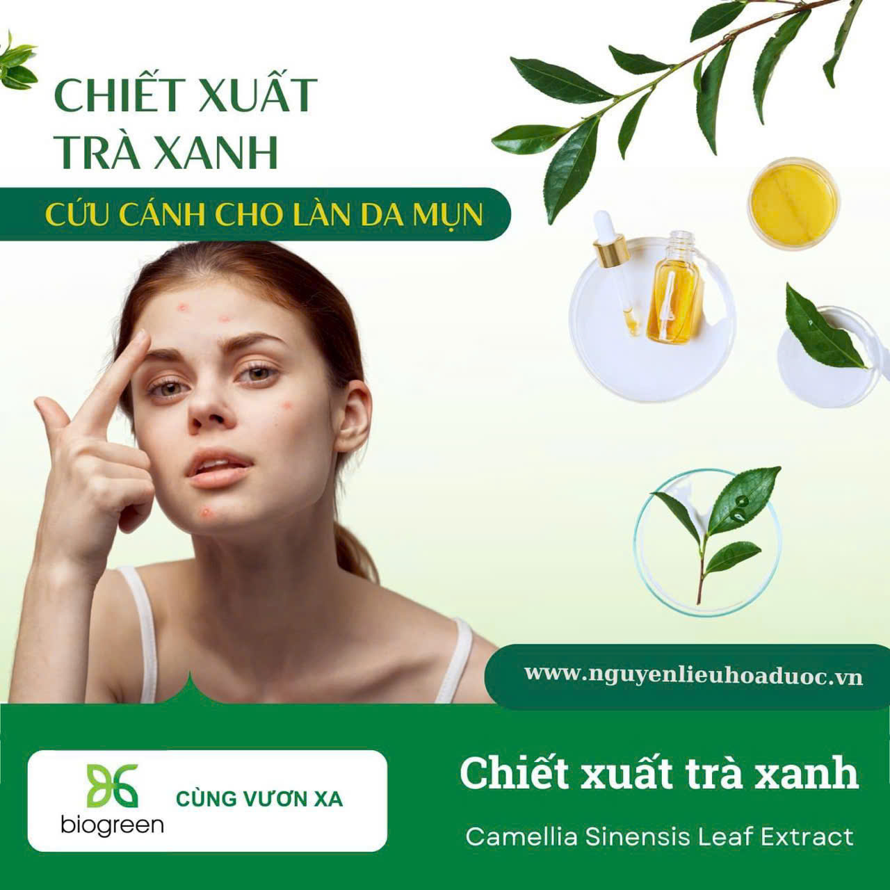 trà xanh