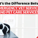Pet Care Services | CGS Hospital