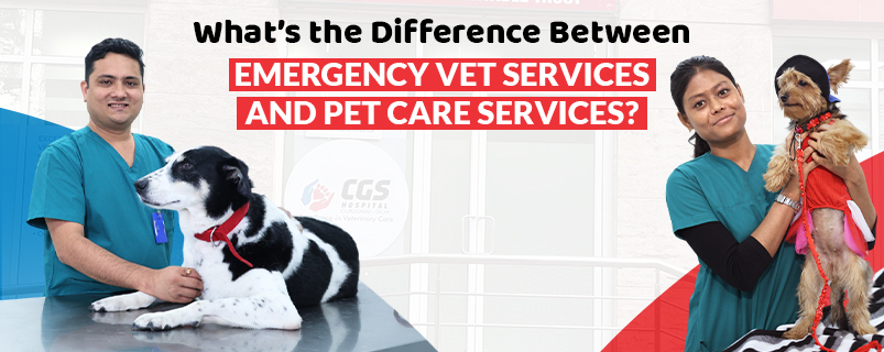 EMERGENCY PET CARE ()