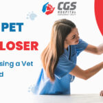 PET VET CLOSER