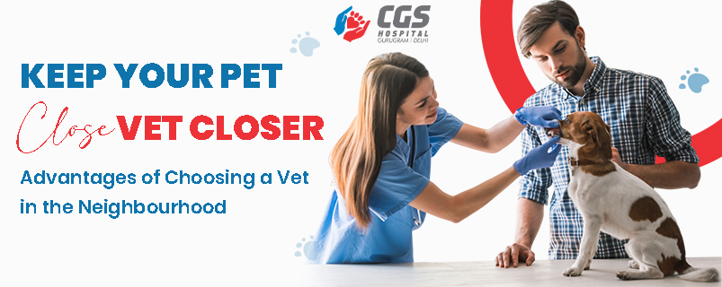 PET VET CLOSER