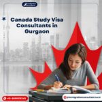 Canada Study Visa Consultants in gurgaon