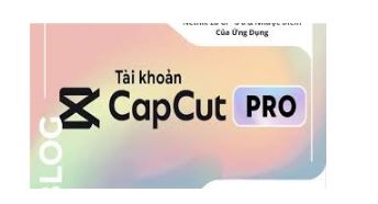 CC