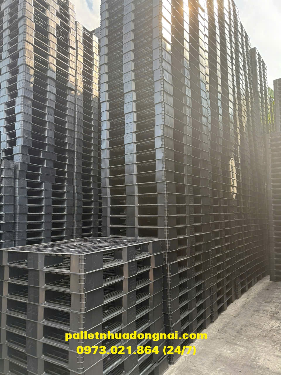 pallet nhua ()