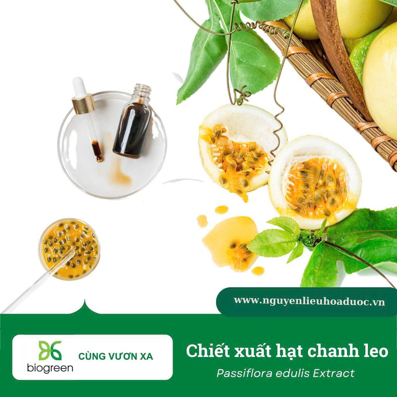 chanh leo