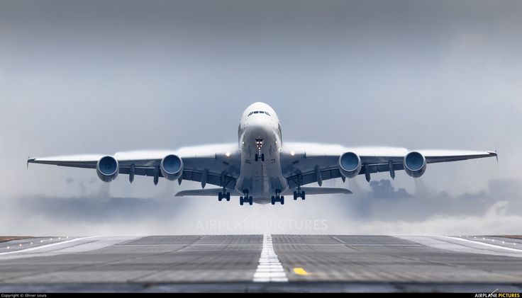 KLM Airlines AMS Terminal