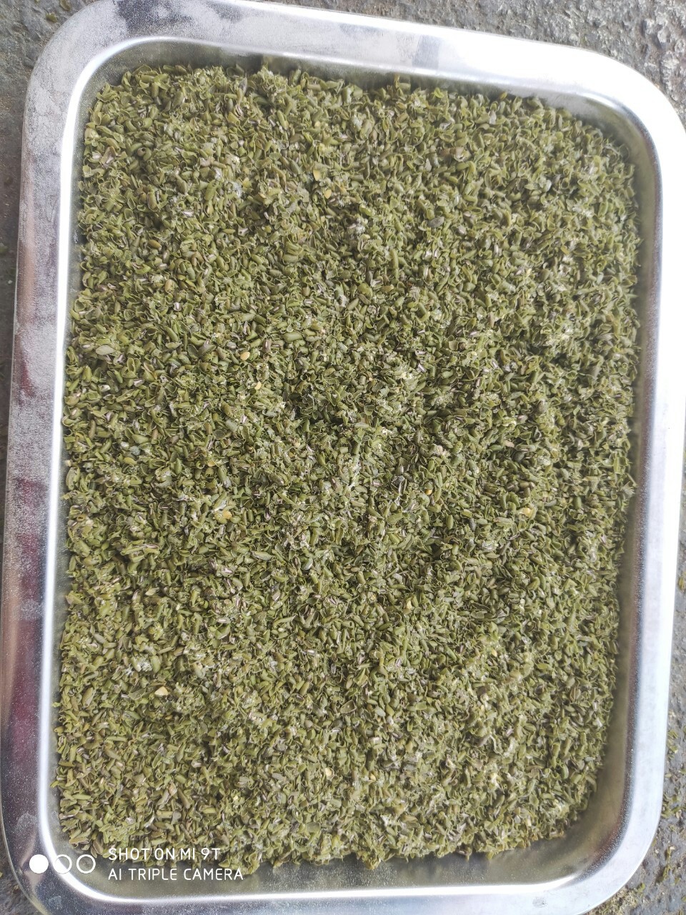 vỏ đậu xanh ()