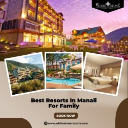 Best Resorts In Manali For Family