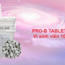 PRO-B TABLETS