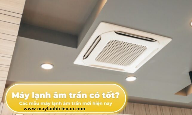 m trần()