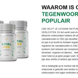 Vital CBD Capsules 2