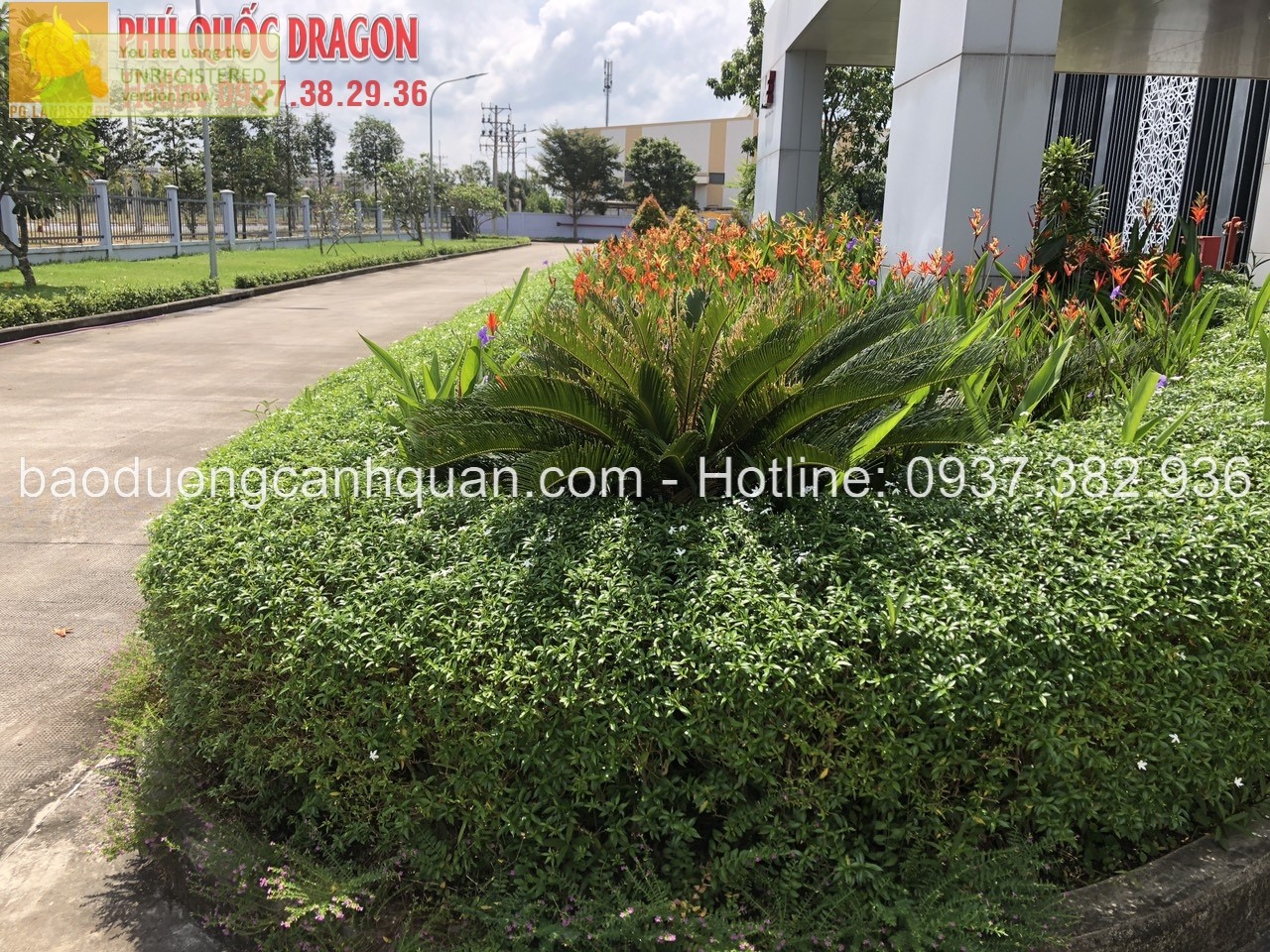 z4830603406775_5c1cb977c7d3667125c47661fbf7530b