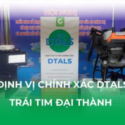 dtals-trai-tim-dai-thanh-30725