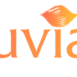 alluvia-city-logo-ngang