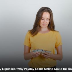 Payday loan online