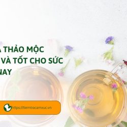 cac-loai-tra-thao-moc