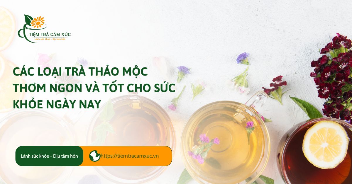 cac-loai-tra-thao-moc