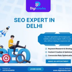seo expert in delhi