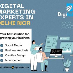 Digital marketing expert