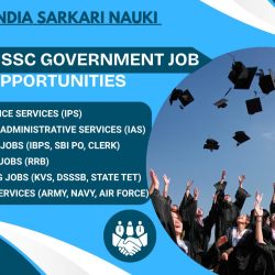GOVERNMENT JOB 2