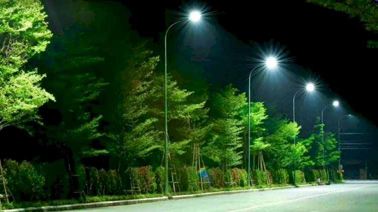 den-led-pha