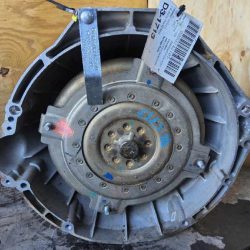 coyote transmission