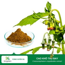 cao-kho-tau-bay-biogreenjsc