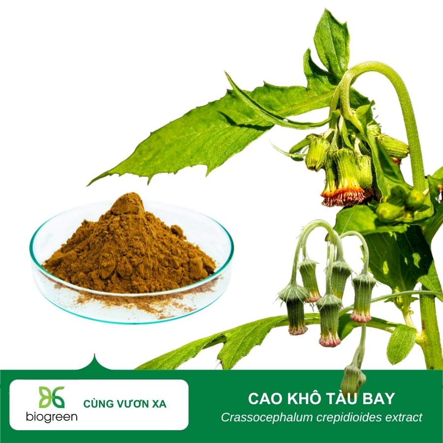 cao-kho-tau-bay-biogreenjsc