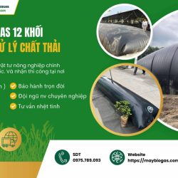 Địa Chỉ Túi Biogas Mua Ở Đâu  Chính Hãng – Giá Cạnh Tranh (2)-compressed