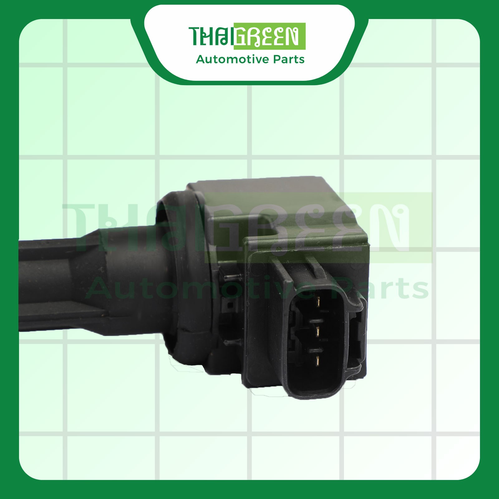 1832A062-01-thaigreen