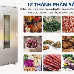 12-loai-thuc-pham-duoc-say-bang-may-say-lanh-nhung-van-giu-nguyen-mau-sac-hinh-dang-1024x576