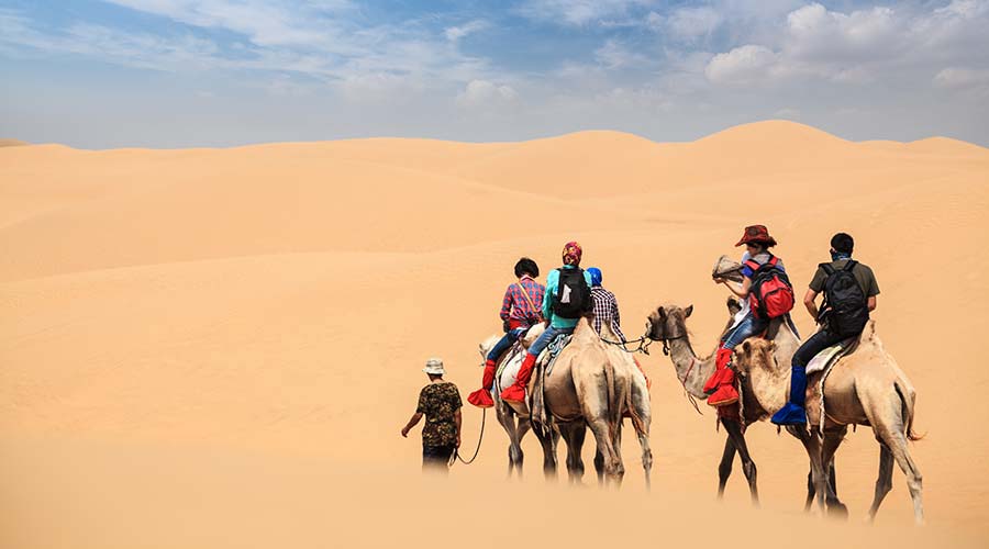 How to Plan the Perfect Desert Adventure Dubai Tour