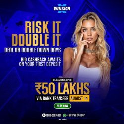 Risk IT Double IT in winexch (1)