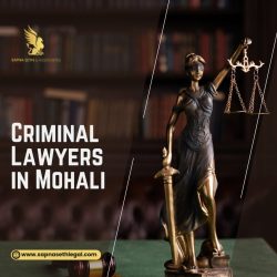 Criminal Lawyers in Mohali (1)