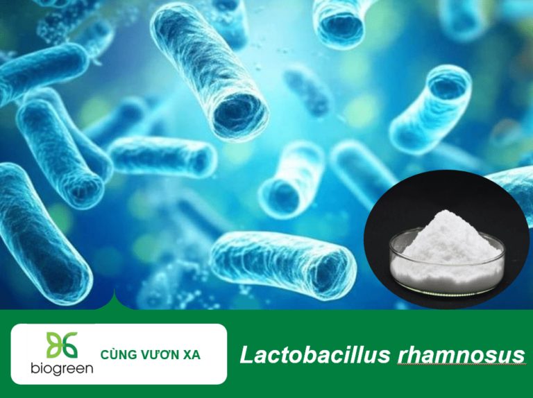 lactobacillus-rhamnosus-biogreenjsc-768x574