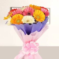 mixed-gerbera-bunch-manual-yuvaflowers-bestgifts-616-default-title-42166476865816