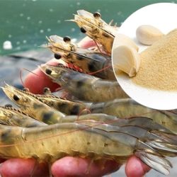 bot-toi-trong-nuoi-trong-thuy-san