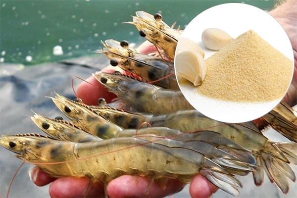 bot-toi-trong-nuoi-trong-thuy-san